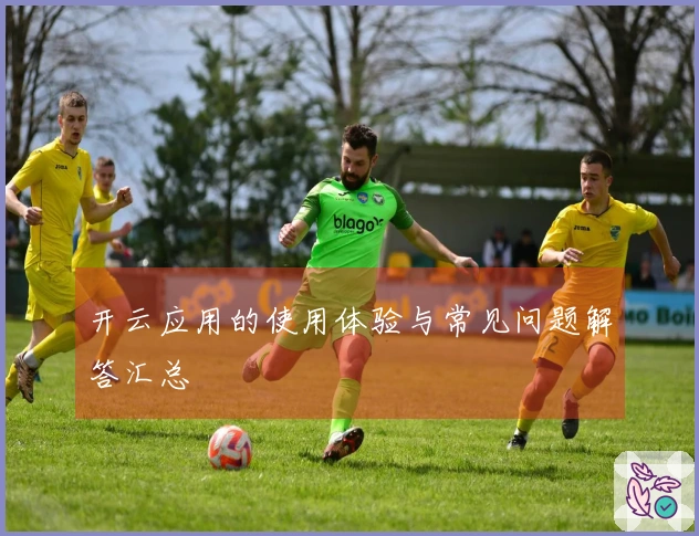 开云应用的使用体验与常见问题解答汇总